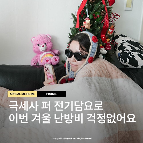  전기담요 온열 겨울 필수템 보드라운 극세사 럭스퍼 전기요금절약까지 프롬비 사무실 집 캠핑 다양하게 사용