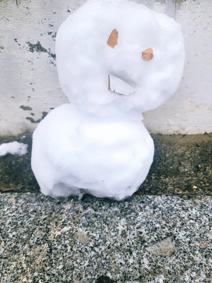  이웃님들 12월 25일 메리 크리스마스 행복하세요