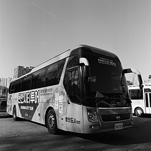 핫셀블라드503CX, HP5 플러스 400 흑백, 천안시청 인근 산책 (25년 12월)