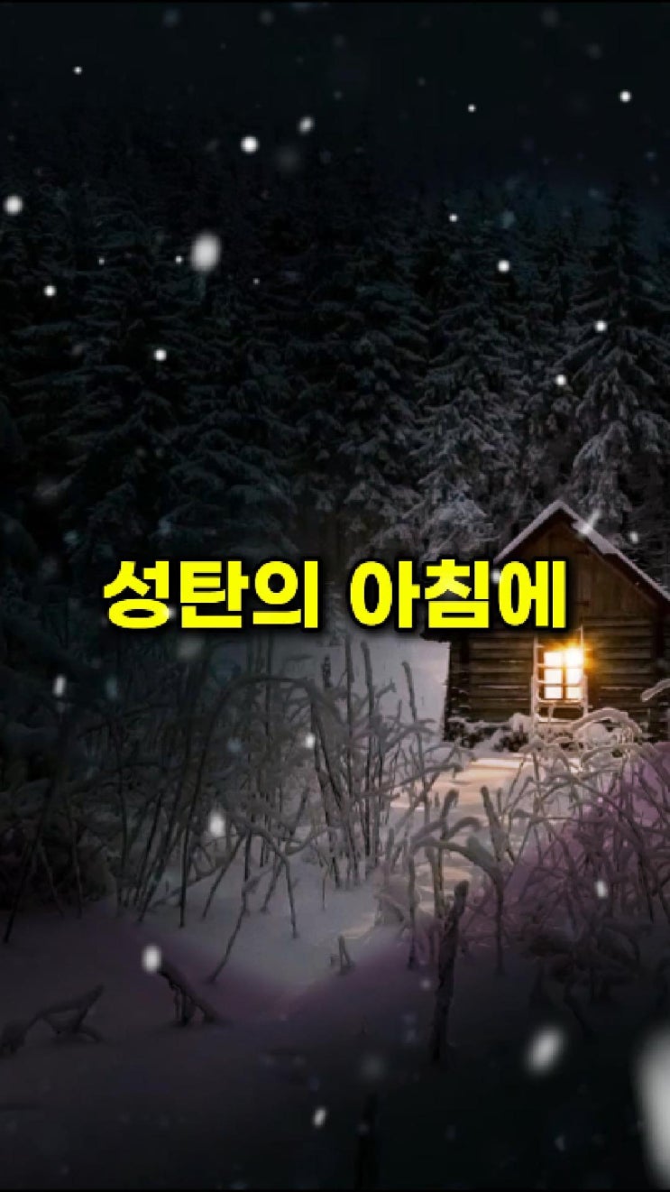  성탄절 아침 기도 | 당신은 혼자가 아닙니다 ️