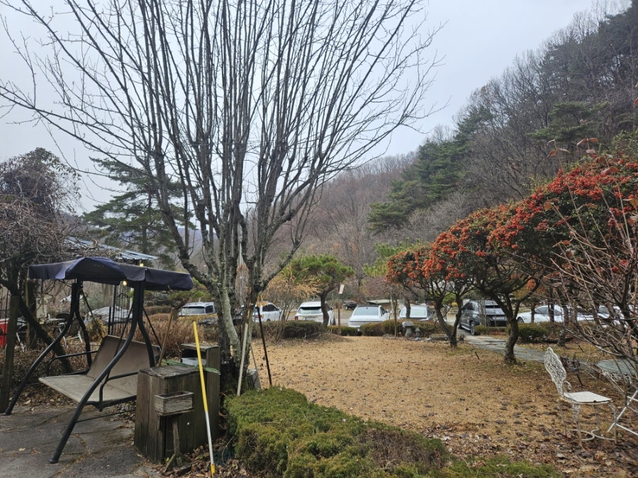 말메종 사진 2