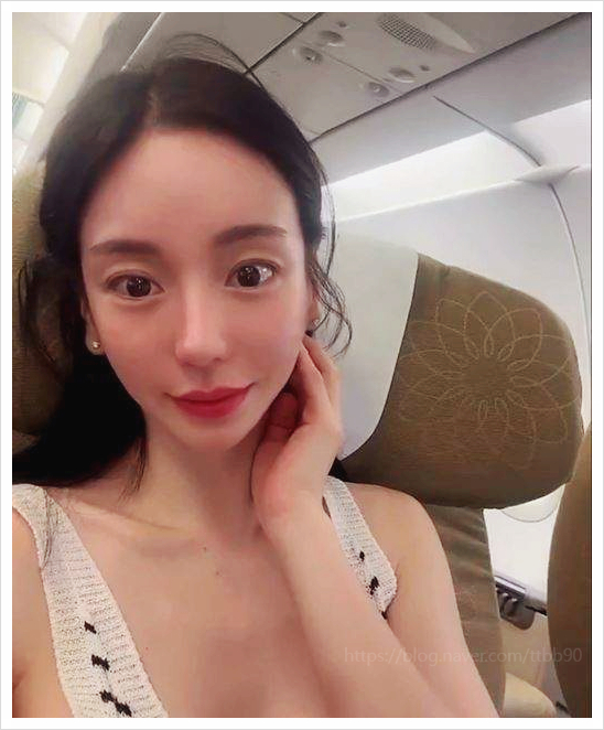  황하나 캄보디아 체포, 재벌가 3세의 끊이지 않는 잔혹사 분석