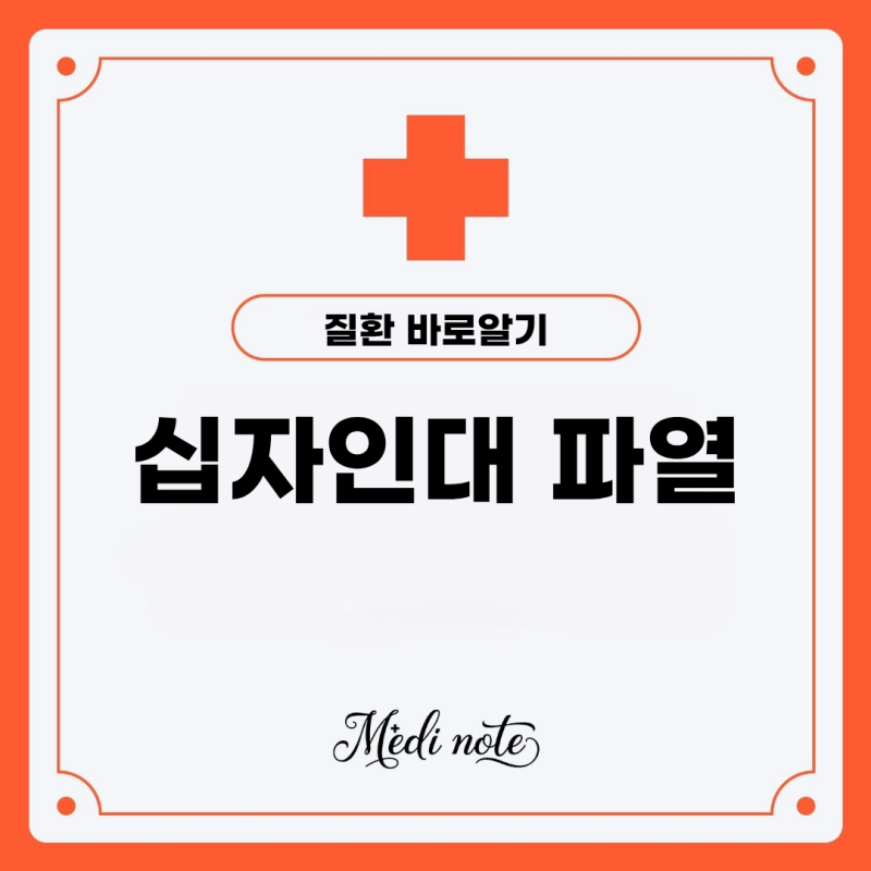 전방 후방 십자인대 파열 증상 회복기간 알아보기