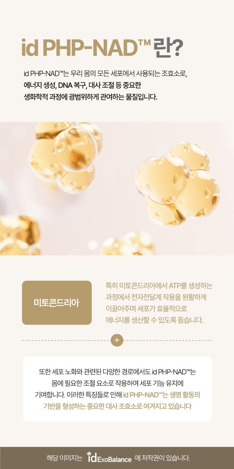 사진 9