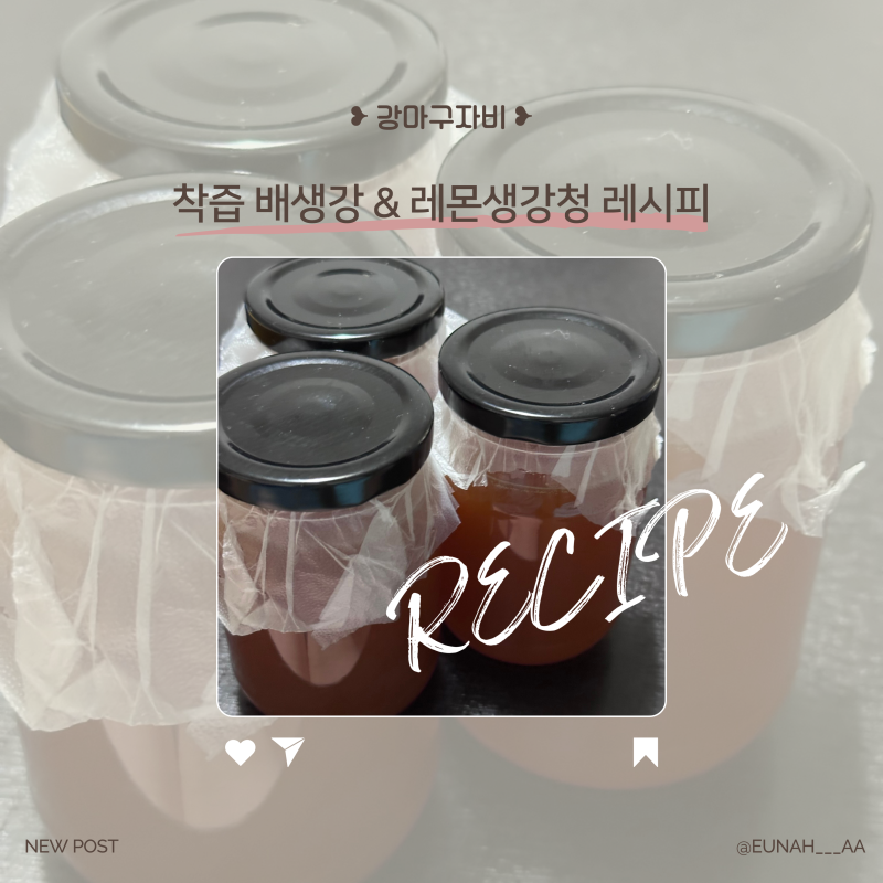 수제 생강청 만들기 휴롬 착즙 배생강 레몬 청 만드는 방법 진저라떼 레시피