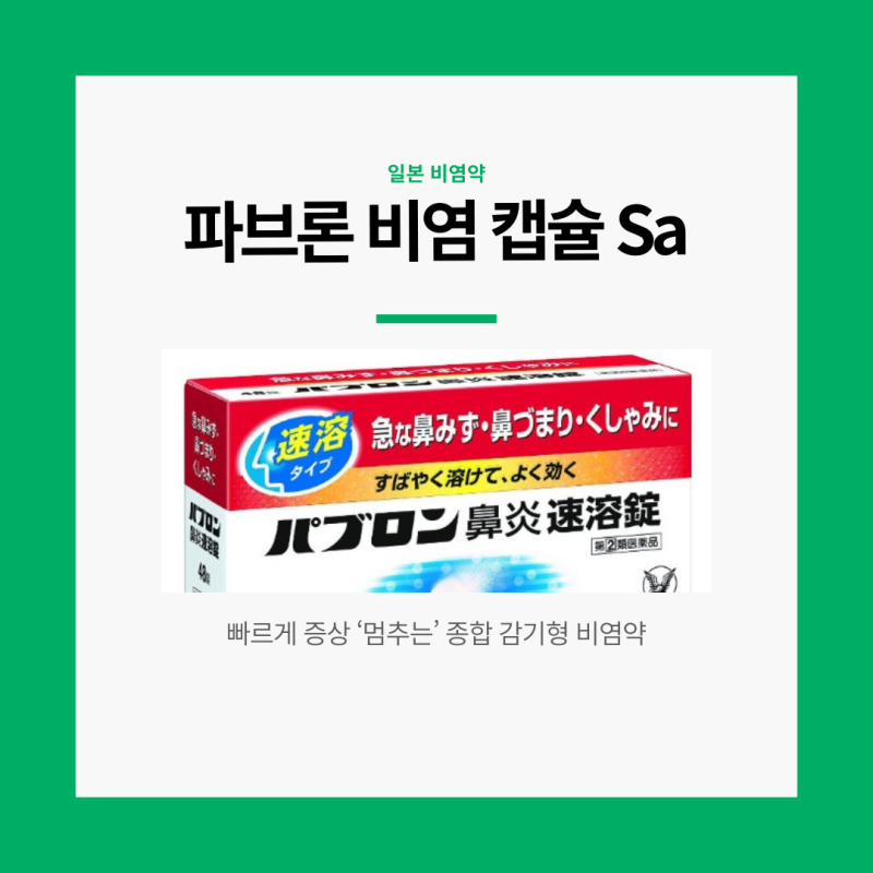 [일본 여행템] 일본 약국 돈키호테 비염약 종류 및 추천