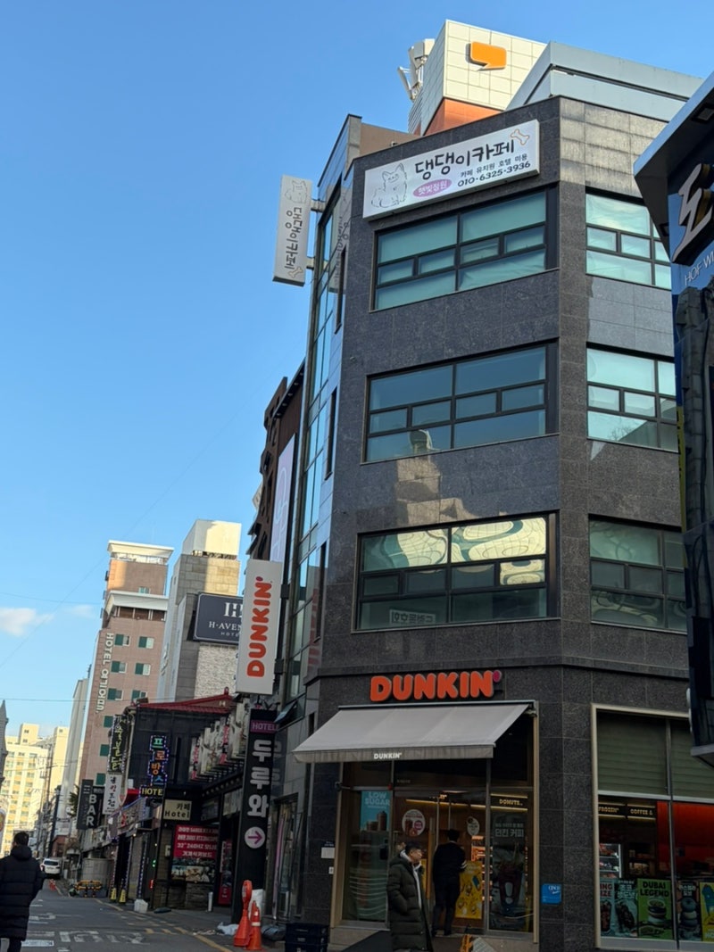 사진 6