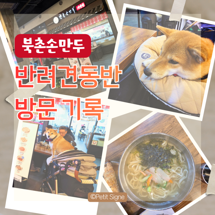  송도 트리플스트리트 반려견동반 식사 기록｜북촌손만두 N번째 방문
