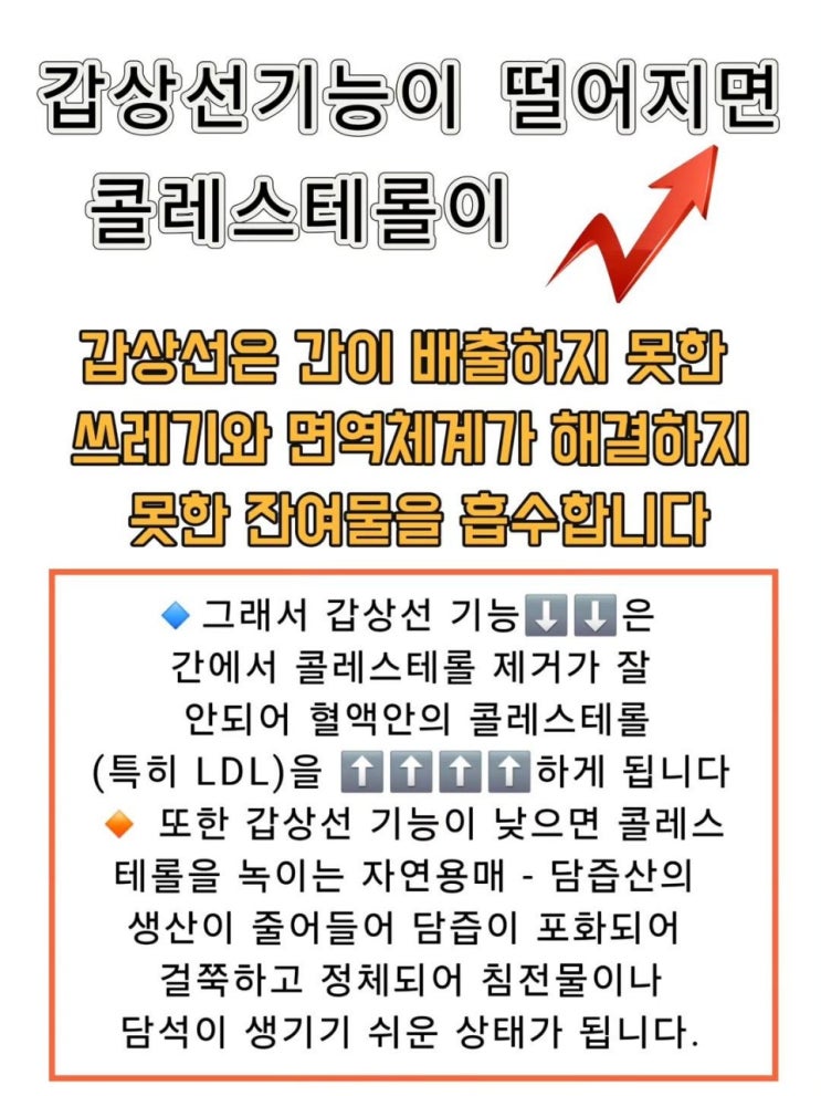 놓치기쉬운 갑상선 관련하여 중요체크사항