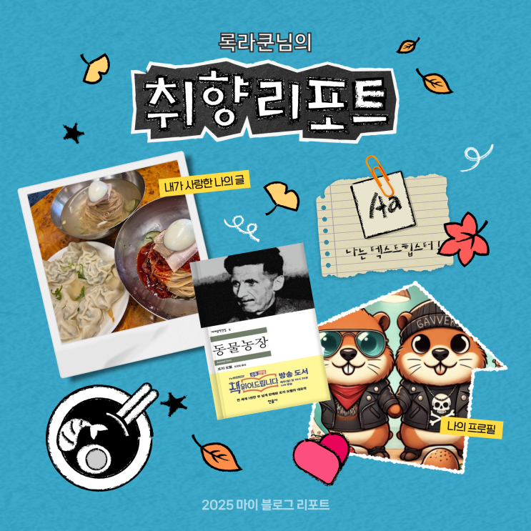  [2025 마이 블로그 리포트] 데이터로 채워보는 내 블로그 취향 리포트