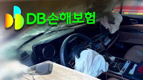사고로 가족 잃었는데…
