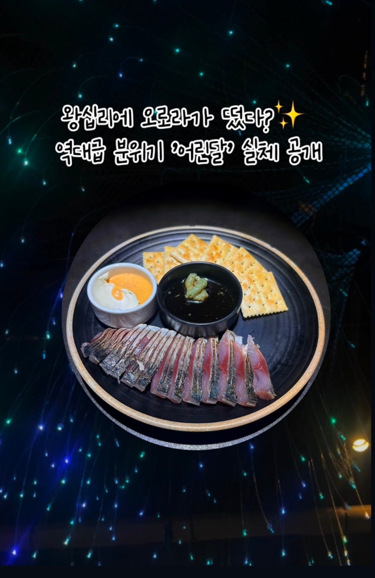  [왕십리/한양대] 블루리본 요리주점 ‘어린달’ : 오로라 인테리어와 청담 파인다이닝급 안주 분석