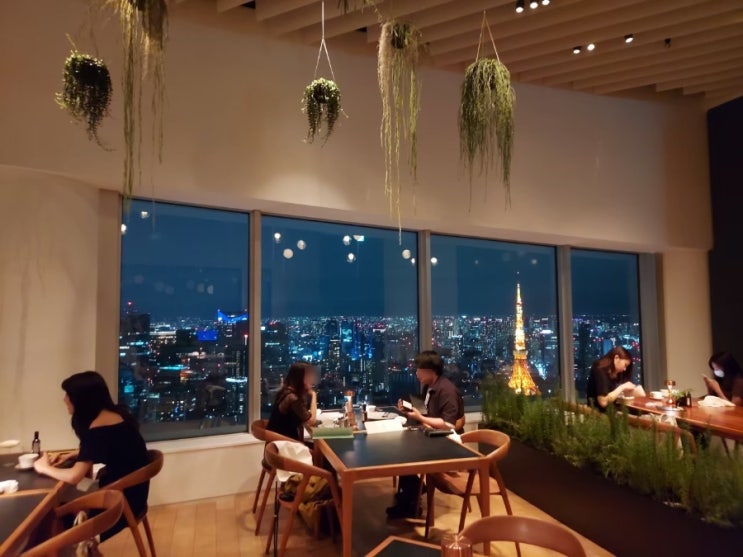  롯폰기 THE SUN & THE MOON 야경도 맛집