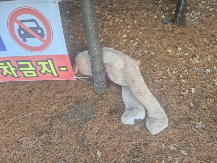  여기서 주무시면 입 돌아가요 연말 술 약속 많으시죠