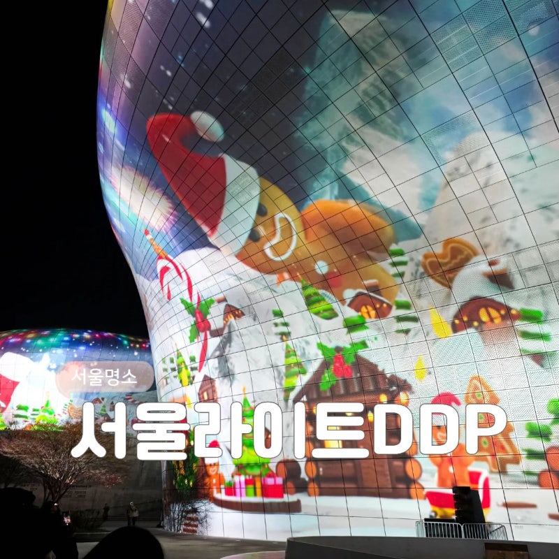 서울 12월 디디피 행사 서울라이트 DDP 2025 크리스마스 겨울 축제 후기