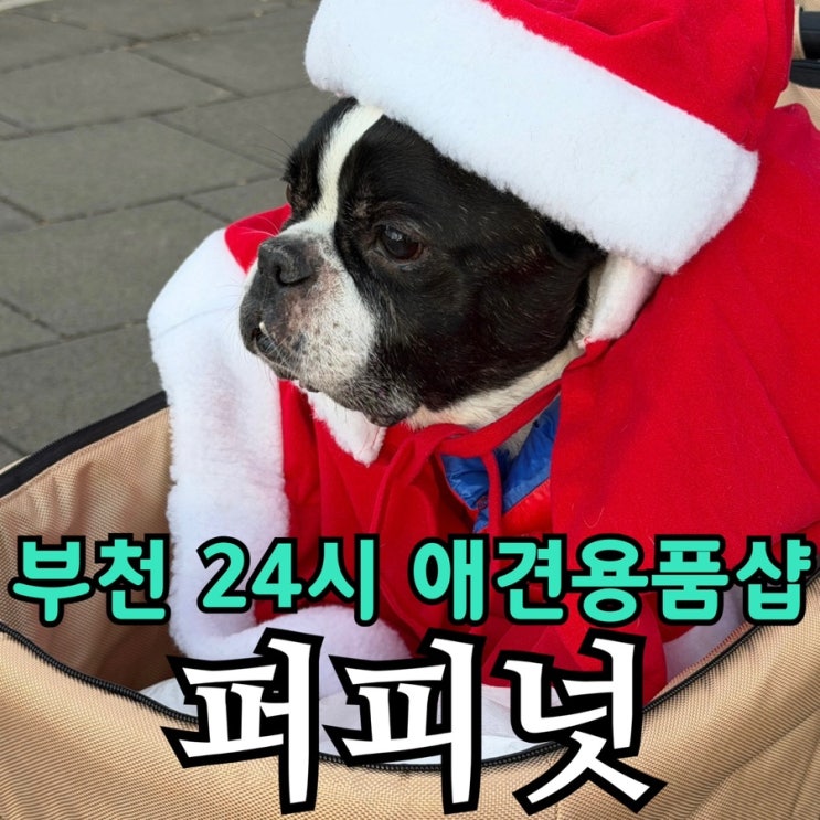  유명 간식 다 있는 부천 24시 애견용품샵 퍼피넛｜싱포밀·어페일블루닷·동결간식 한곳에