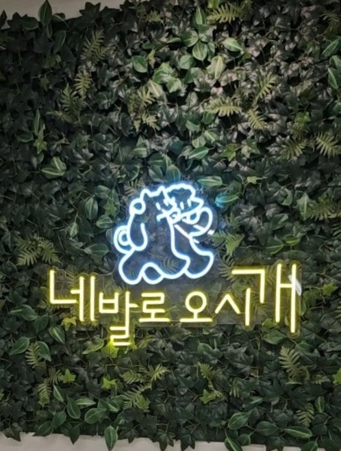 사진 5