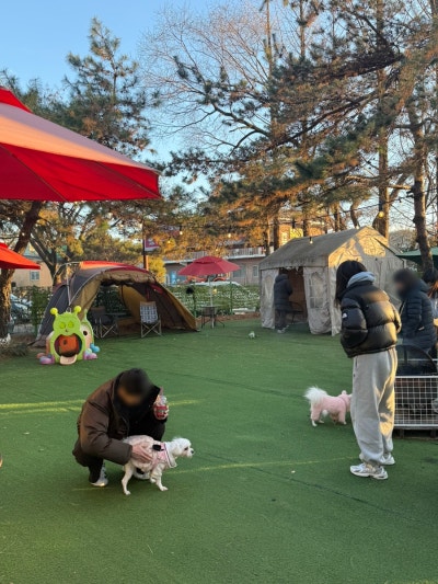 사진 2