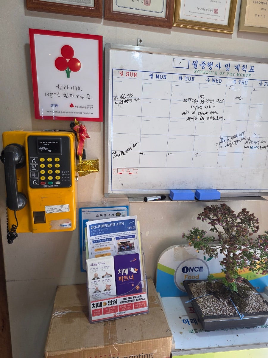 선채령 사진 6