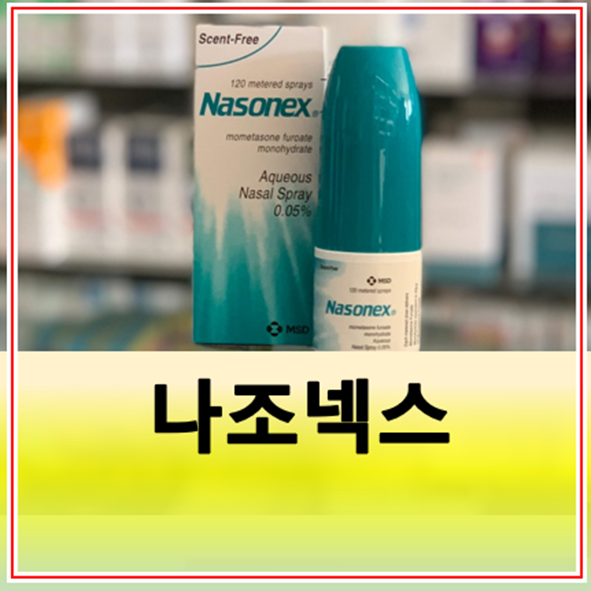나조넥스 나잘스프레이 사용법 가격 성분 부작용