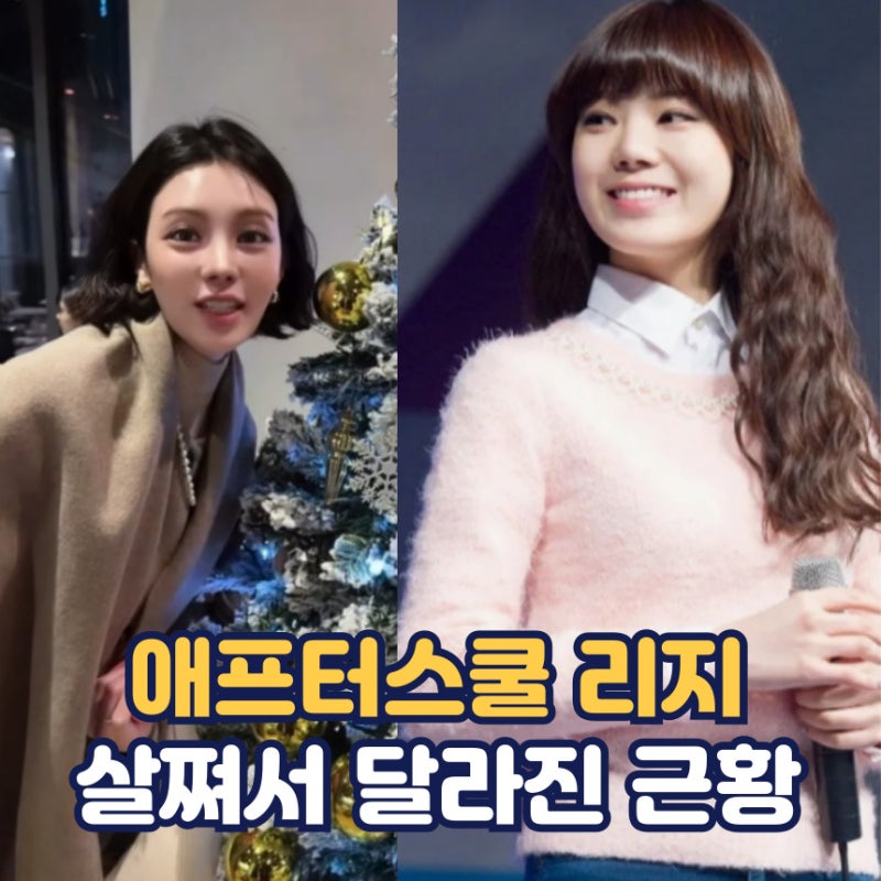 애프터스쿨 리지 살찐 근황 몰라보게 달라진 외모 음주운전 자숙 후 근황