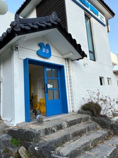 사진 10