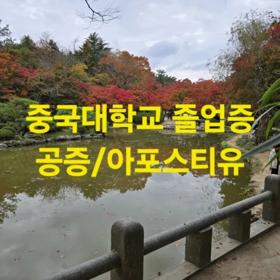  중국 남개대학교 학사학위증 번역공증 사례