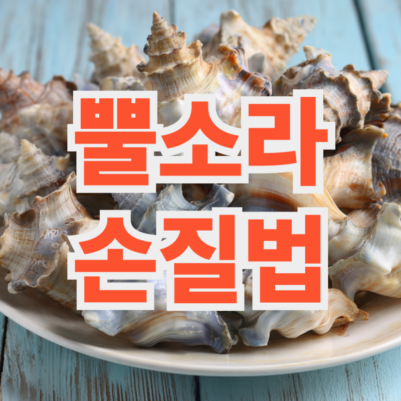 뿔소라 손질법 내장 삶는법 숙회