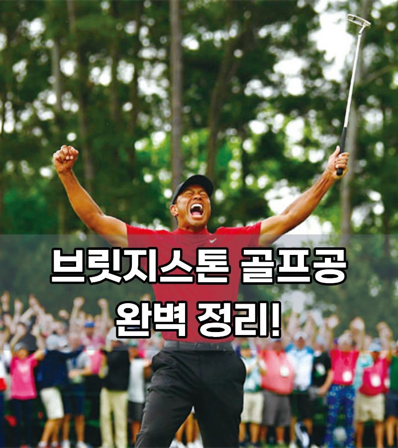 타이거 우즈가 선택한 브릿지스톤 골프공 모델 정리