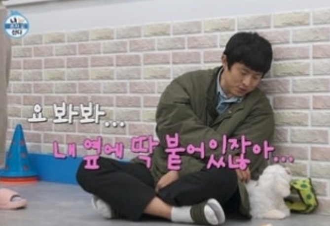   나 혼자 산다 기안84 유기견 입양 예고!? 어머니와 함께 찾은 운명의 식구