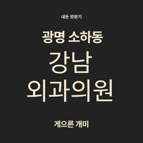 광명/소하동 - 강남외과의원 (표피낭종 제거 후기)