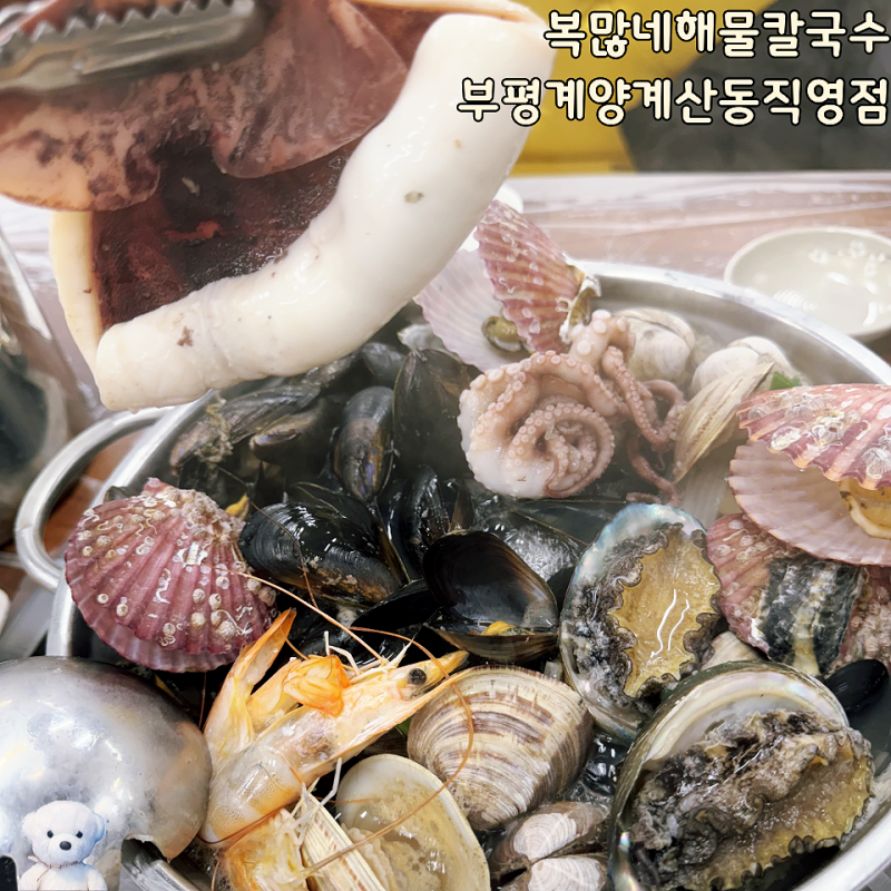 [인천계양구/계산동] "복많네해물칼국수 부평계양계산동직영점" 뜨끈하고 푸짐한 해물전골+....