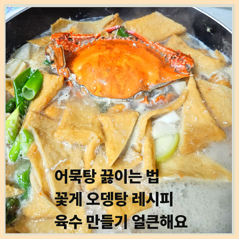 어묵탕 끓이는 법 꽃게 오뎅탕 레시피 육수 만들기 얼큰해요