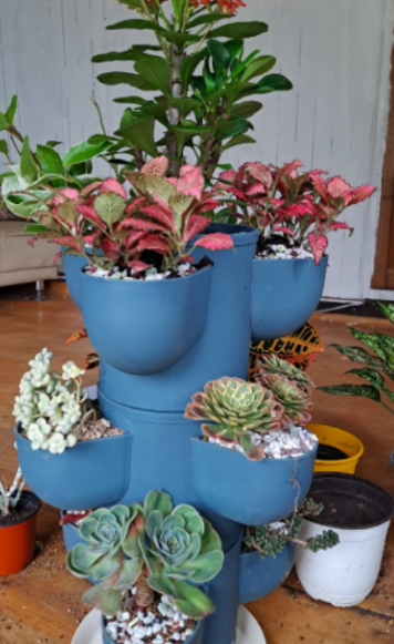 일상이 풍성하고 행복해지는 반려식물용품 전문 쇼핑몰 !