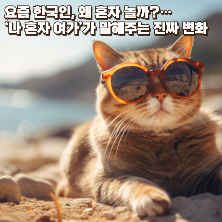  요즘 한국인, 왜 혼자 놀까?… ‘나 혼자 여가’가 말해주는 진짜 변화