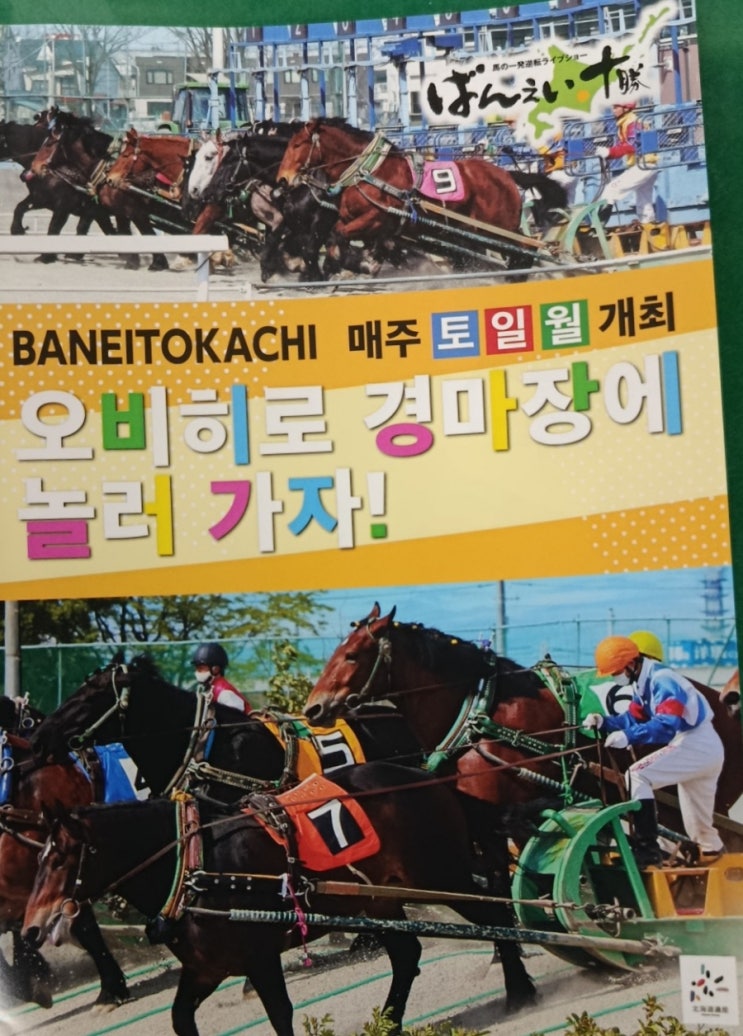  오비히로경마장 | 소소한 매력이라는 표현의 함정