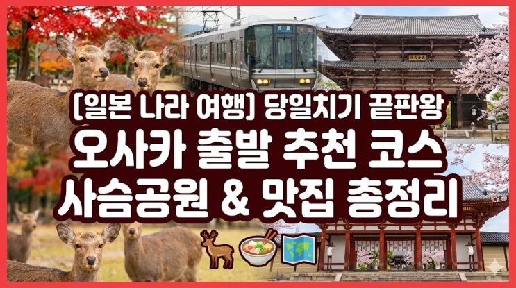  [일본 나라 여행] 오사카 출발 당일치기 코스 추천! 사슴공원 & 맛집 완벽 정리 (교통패스 꿀팁)
