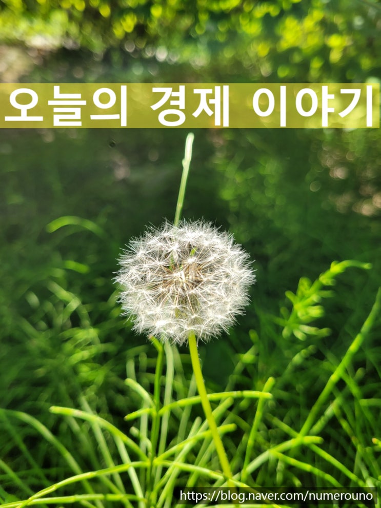  12.26 미국 경제 흐름 점검, 지산왕(2025년 12월 26일 )