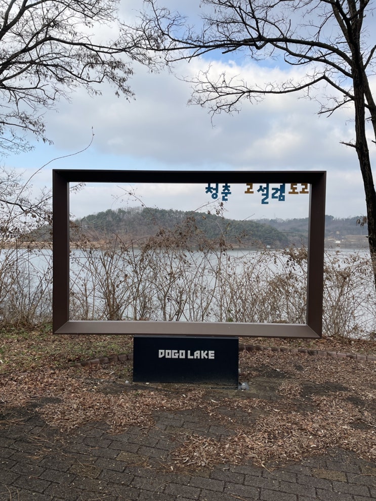 2025년의 마지막달 12월의 요모조모 / 슬쌍디아빠 이동섭