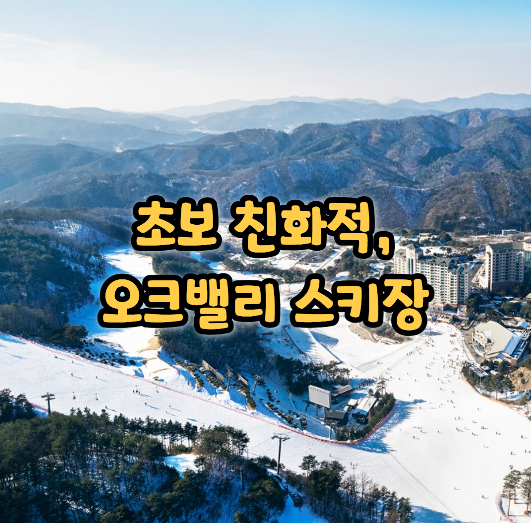  원주 오크밸리 스키장 슬로프 운영 현황 및 시간, 실시간 보는 방법