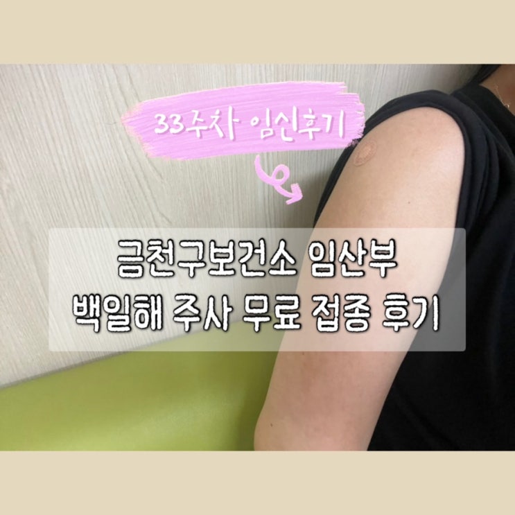  임신 후기 33주차 금천구보건소 백일해 접종&증상 후기 금천구임산부는 무료