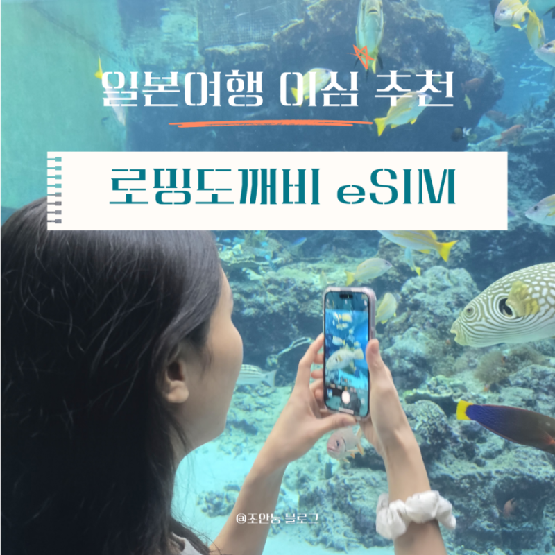 일본여행 무제한 데이터 요금제 후기ㅣ로밍도깨비 eSIM으로 쉽고 편하게 오키나와 여행하기