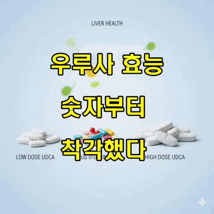  우루사 효능, 숫자부터 착각했다