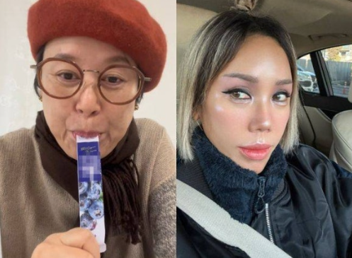  박미선 블루베리 공구 논란 총정리…김송 댓글 욕설 설전까지 확산