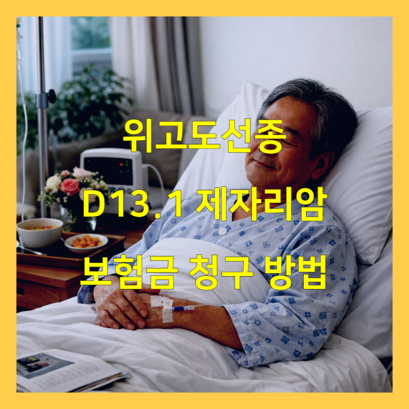 위고도선종 D13.1 제자리암 보험금 청구 방법