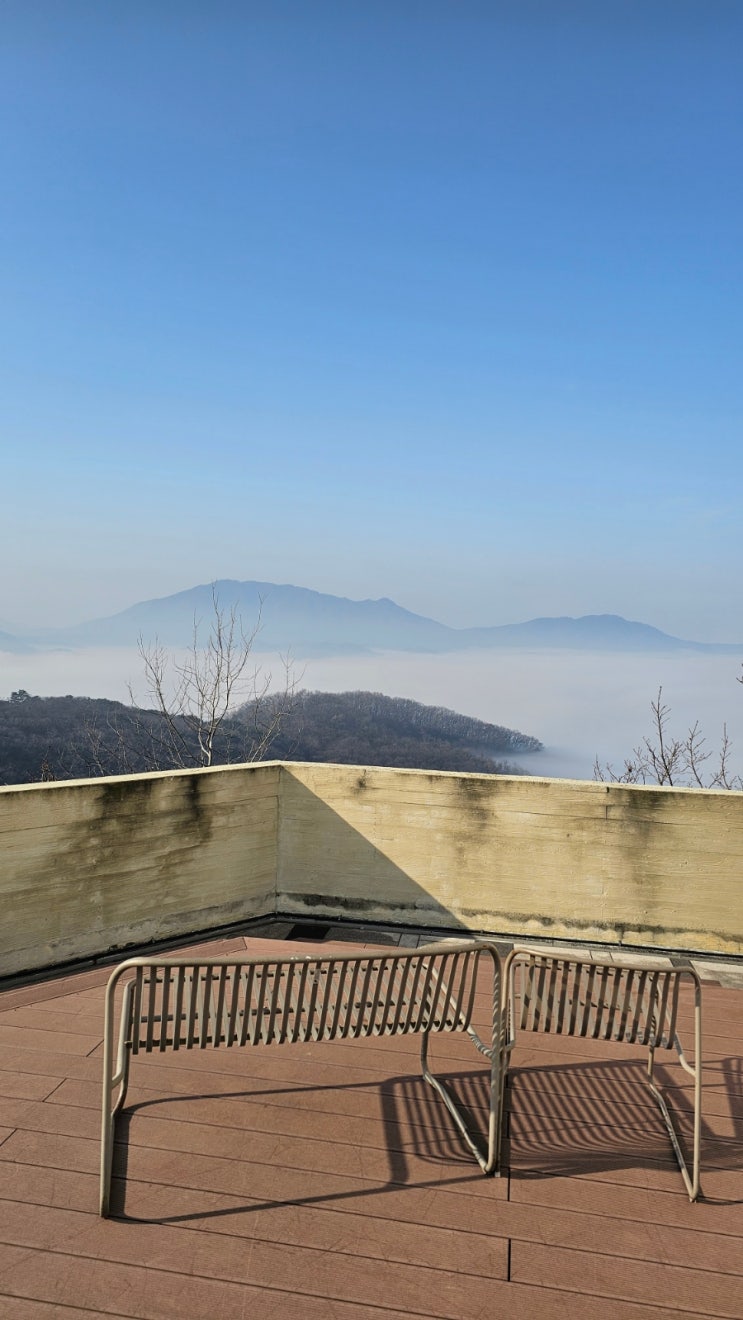  김포 애기봉평화생태공원 현장발권 스타벅스 김포애기봉생태공원점 특별한 스타벅스 데이트 후기