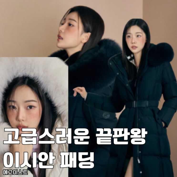  고급스러운 끝판왕 이시안 에고이스트 패딩 ER4TD007 블랙 가격 얼마?