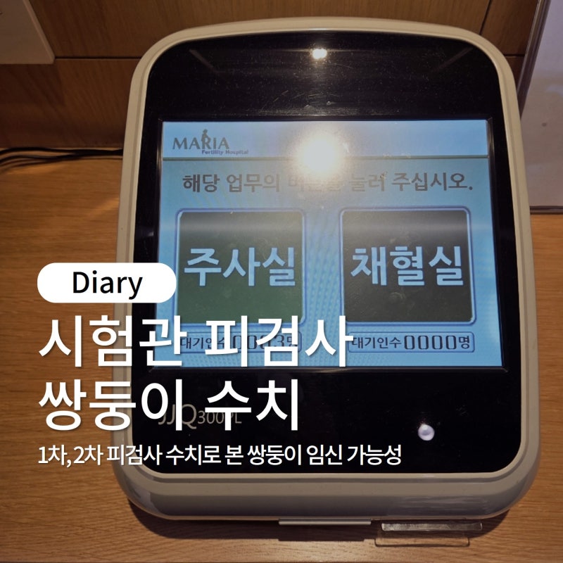 시험관 피검사 수치 1차, 2차 트리플링으로 본 쌍둥이 임신 가능성