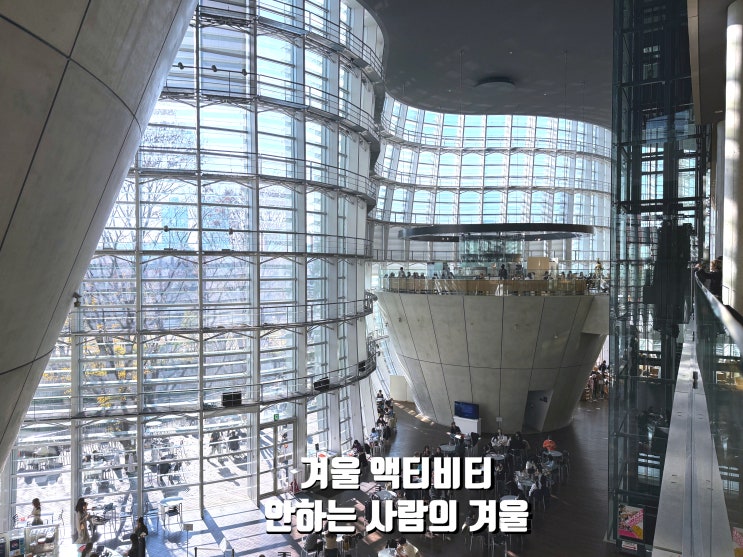  겨울 액티비티를 안 하는 사람의 겨울 즐기기