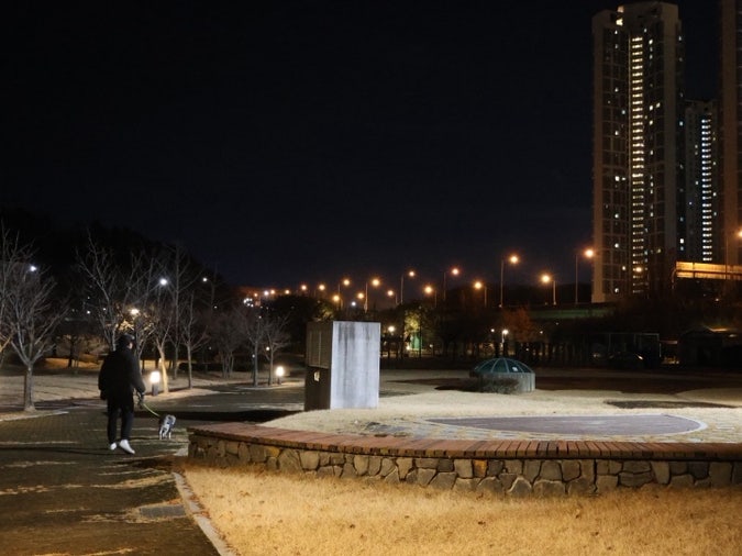  겨울철 강아지 산책 옷은 든든하지만 가볍게 적당한 운동도 필수